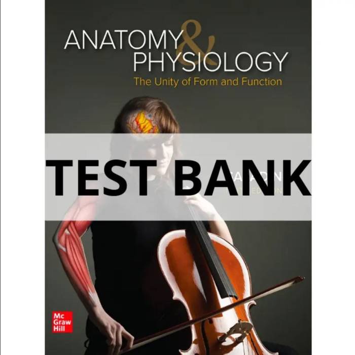 Anatomy and physiology saladin 9th edition