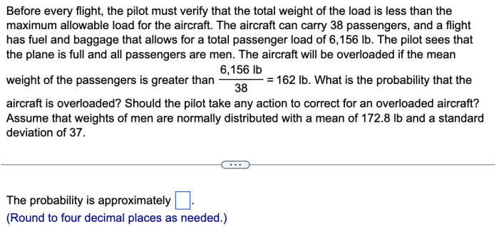 Before every flight the pilot must verify