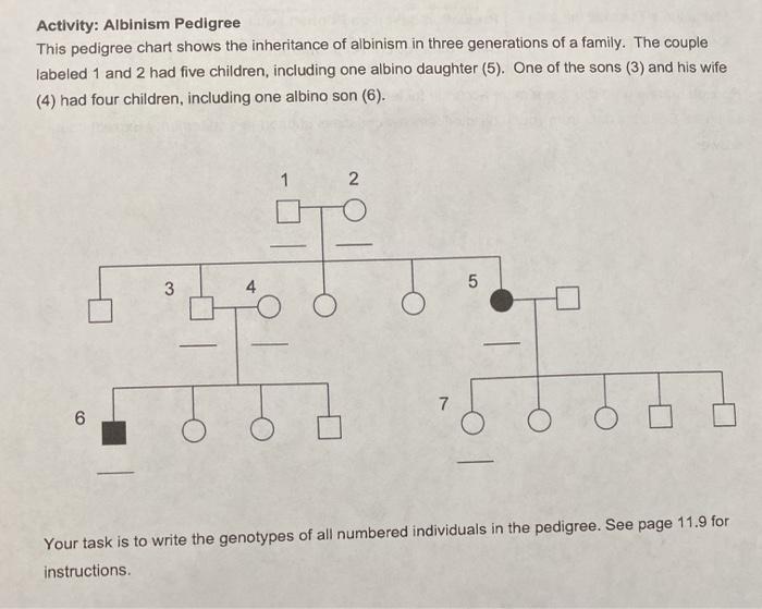 Pedigree analysis albinism answer key