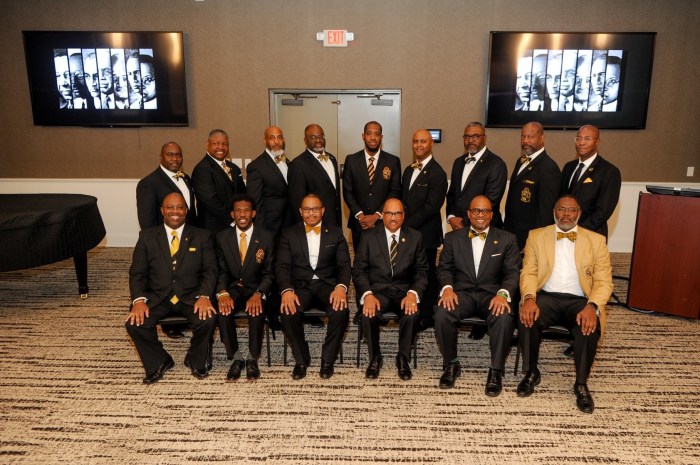 Alpha phi alpha national programs