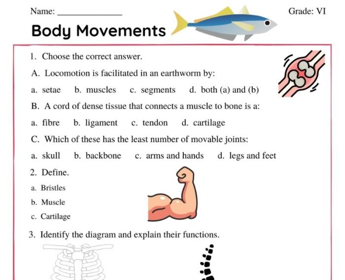 Joint and movement worksheet answers