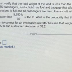 Before every flight the pilot must verify