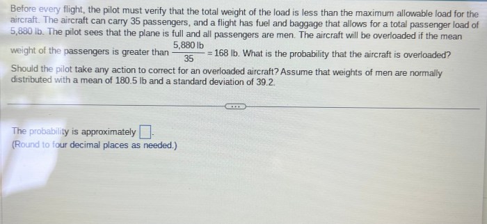 Before every flight the pilot must verify