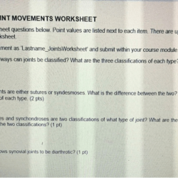 Joint and movement worksheet answers