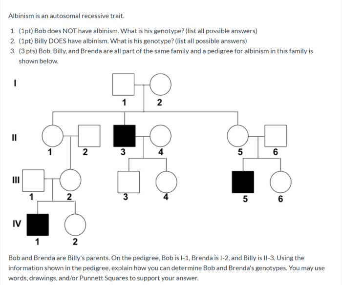 Pedigree analysis albinism answer key