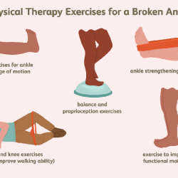 Physio ex exercise 6 activity 5