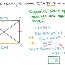 Label the sides of each rectangle