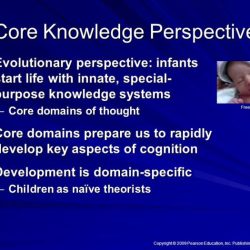 Infants are born with domain-specific innate knowledge systems according to