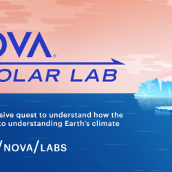 Lab nova game pbs