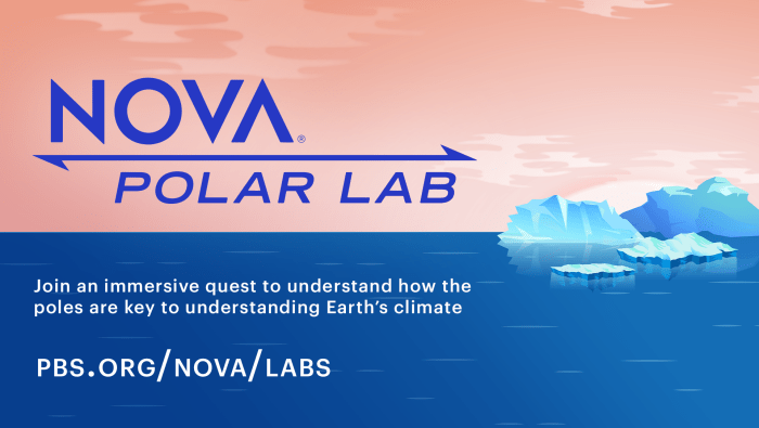 Lab nova game pbs