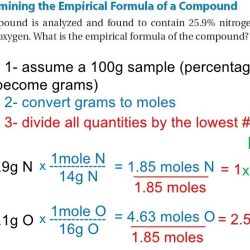 Percent empirical composition worksheet determine formulas using tes